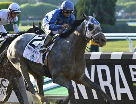 belmont length|Belmont .